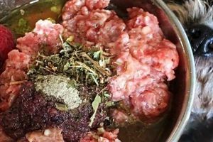 Котлети для собак і котів: смаколик чи шкода для здоров&rsquo;я фото