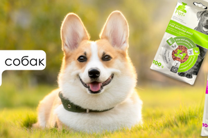 Ласощі thePet+ для собак &mdash; підтримка здоров&rsquo;я вашого улюбленця фото