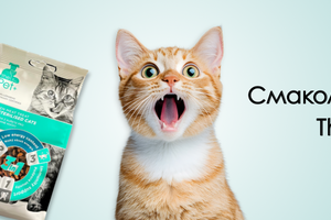 Смаколики для котів thePet+: корисно, смачно, вітамінно фото