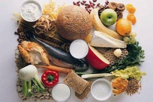 Топ-10 корисних перекусів для собак: що можна давати між основними прийомами їжі фото