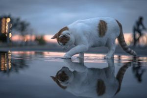 фото