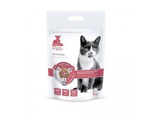 Сухий корм для дорослих котів The Pet+ холістік беззерновий свинина та качка 1 кг 169 грн фото - Grand Pets Food